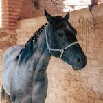 Close up of stable posture during slow exercise